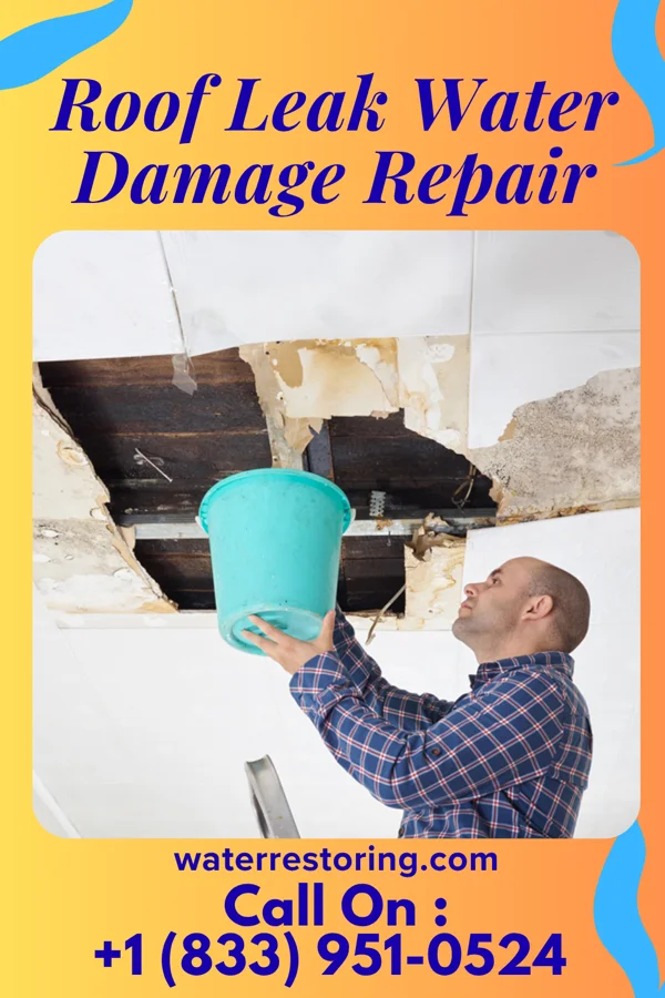 Roof Leak Water Damage Repair in Mechanicsburg, VA