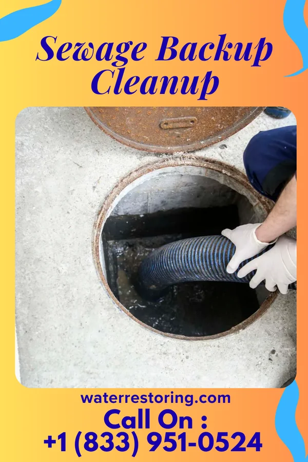 Sewage Backup Cleanup in Mechanicsburg, VA