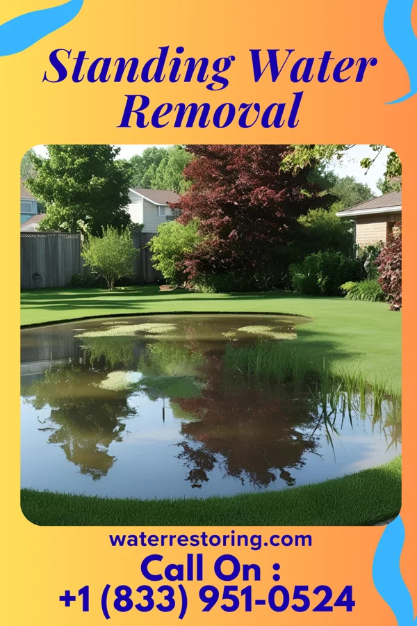 Standing Water Removal in Mechanicsburg, VA